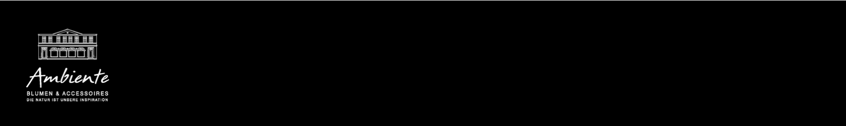 Ambiente Blumen & Acessoires